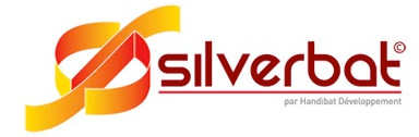 Logo Silverbat